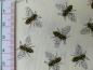 Preview: Patchworkstoff mit Bienen. Detailansicht mit Maß.