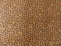 Preview: Stoff mit vielen braunen Kaffeebohnen von Quilting Treasures aus der Serie Daily Grind.
