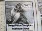 Preview: Patchworkstoff in Zeitungsoptik mit Texten und Bildern zum Thema Katzen und Katzenbesitzer. Deatailansicht mit Maß.