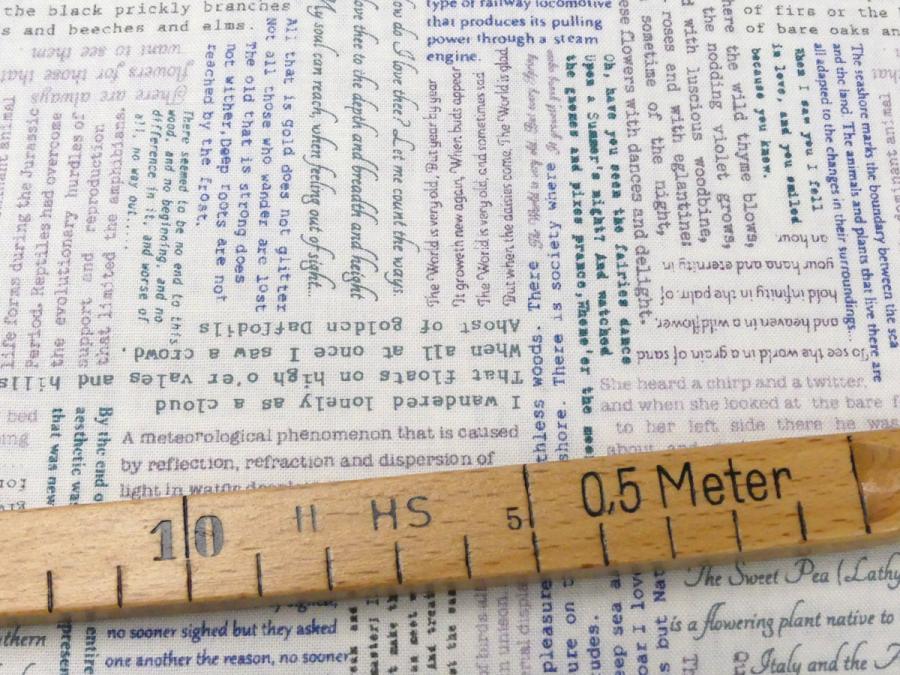 Preview: Patchworkstoff von Lewis und Irene mit Schrift auf hellem Hintergrund - Detailansicht