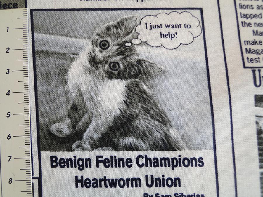 Preview: Patchworkstoff in Zeitungsoptik mit Texten und Bildern zum Thema Katzen und Katzenbesitzer. Deatailansicht mit Maß.