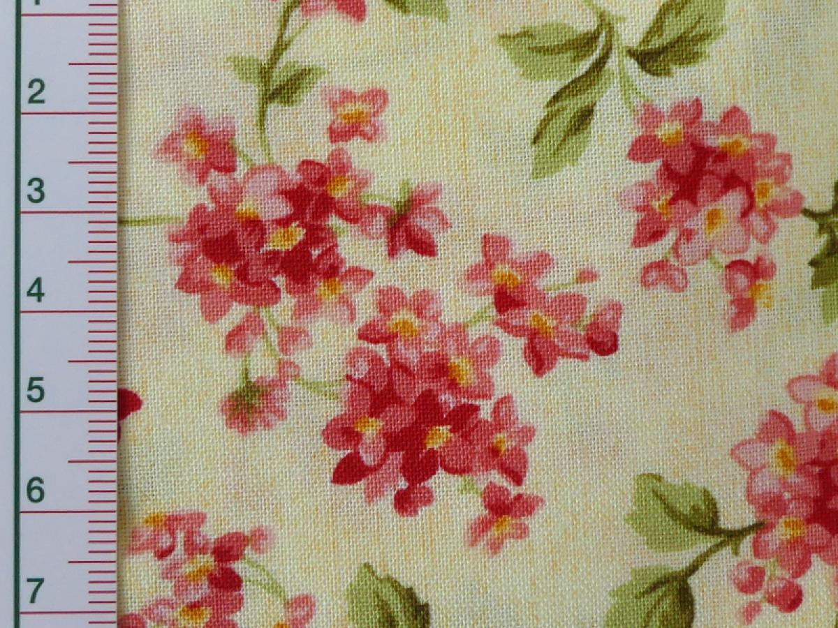 Rote und rosa Blüten auf cremefarbenem Hintergrund. Detailansicht mit Maß.