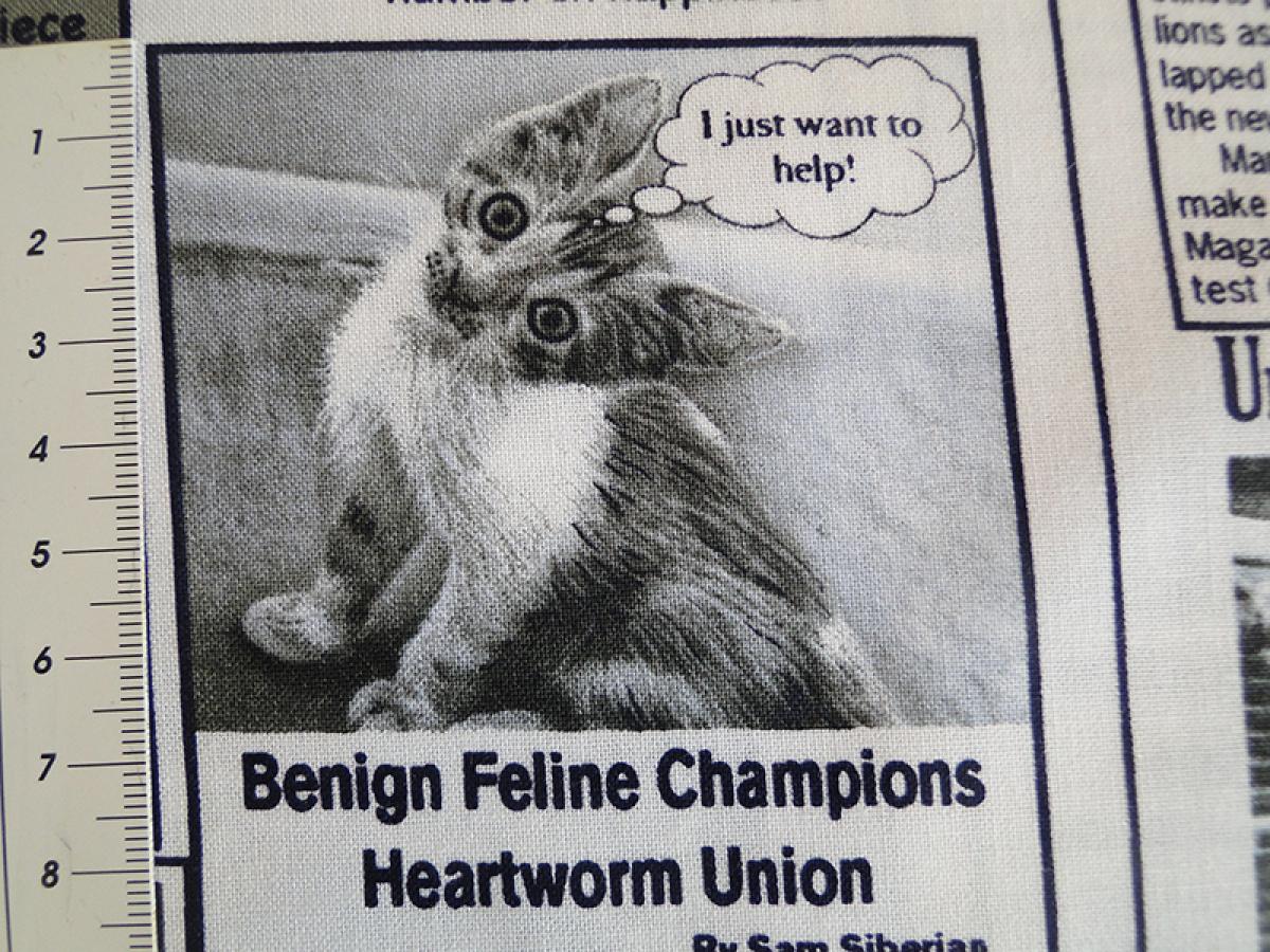 Patchworkstoff in Zeitungsoptik mit Texten und Bildern zum Thema Katzen und Katzenbesitzer. Deatailansicht mit Maß.