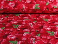 Himbeeren von Elizabeth's Studios