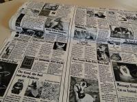 Cats News - Katzen Newspaper Zeitung von Timeless Treasures